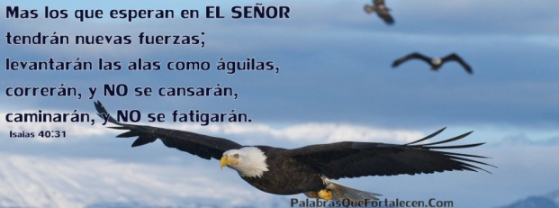 aaaguila Levanta tus alas   Portada para nuevo perfil en facebook