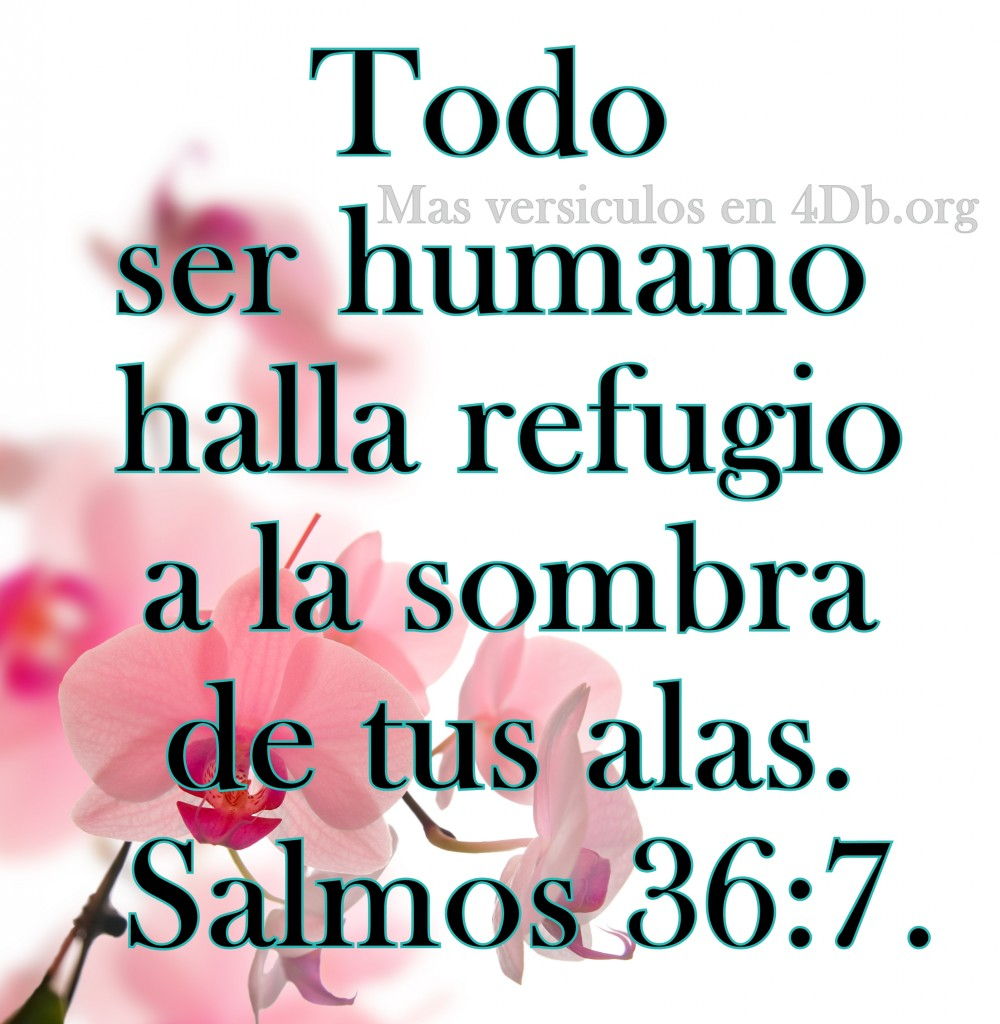 Salmos versiculos y Palabras Que Fortalecen Imagenes de Dios Es Bueno Para compartir en Facebook 32 1000x1024 Salmos 36:7 Palabras Que Fortalecen Imagenes de Dios Es Bueno Para compartir en Facebook
