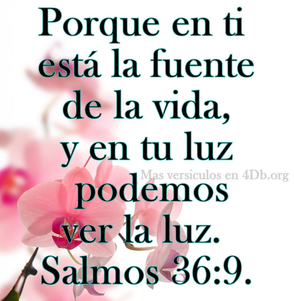 Imagenes para facebook salmo 91 salmo 23 frases