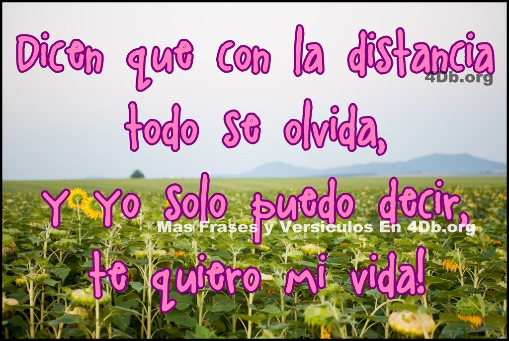 Frase Para Enamorar 43 1024x685 Frases Para Enamorar ¡te quiero mi vida!